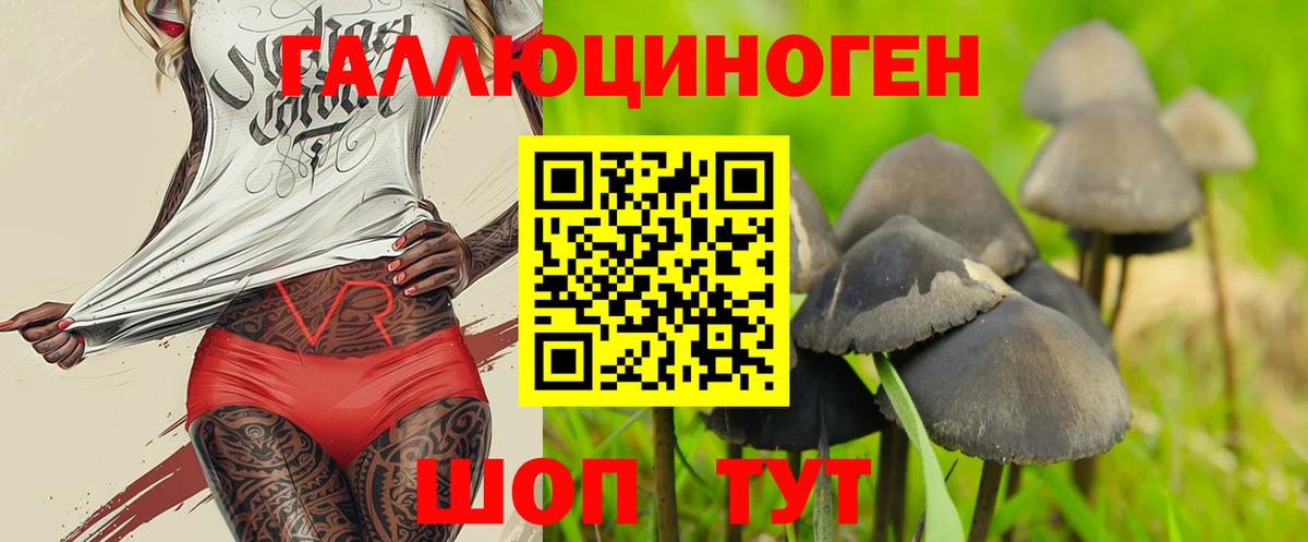 Псилоцибиновые грибы Magic Shrooms Заводоуковск